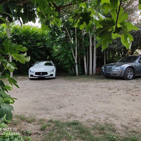 Apartment Albert Parking Prive Gratuit Limoux Esterno foto