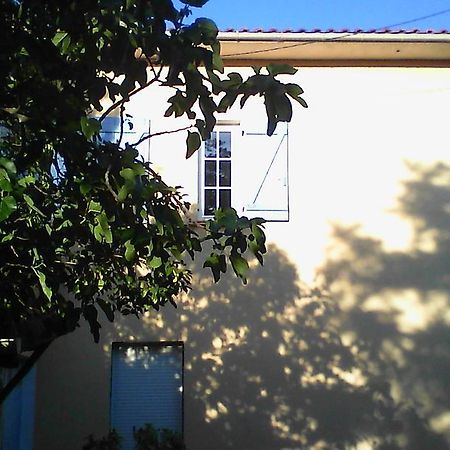 Apartment Albert Parking Prive Gratuit Limoux Esterno foto
