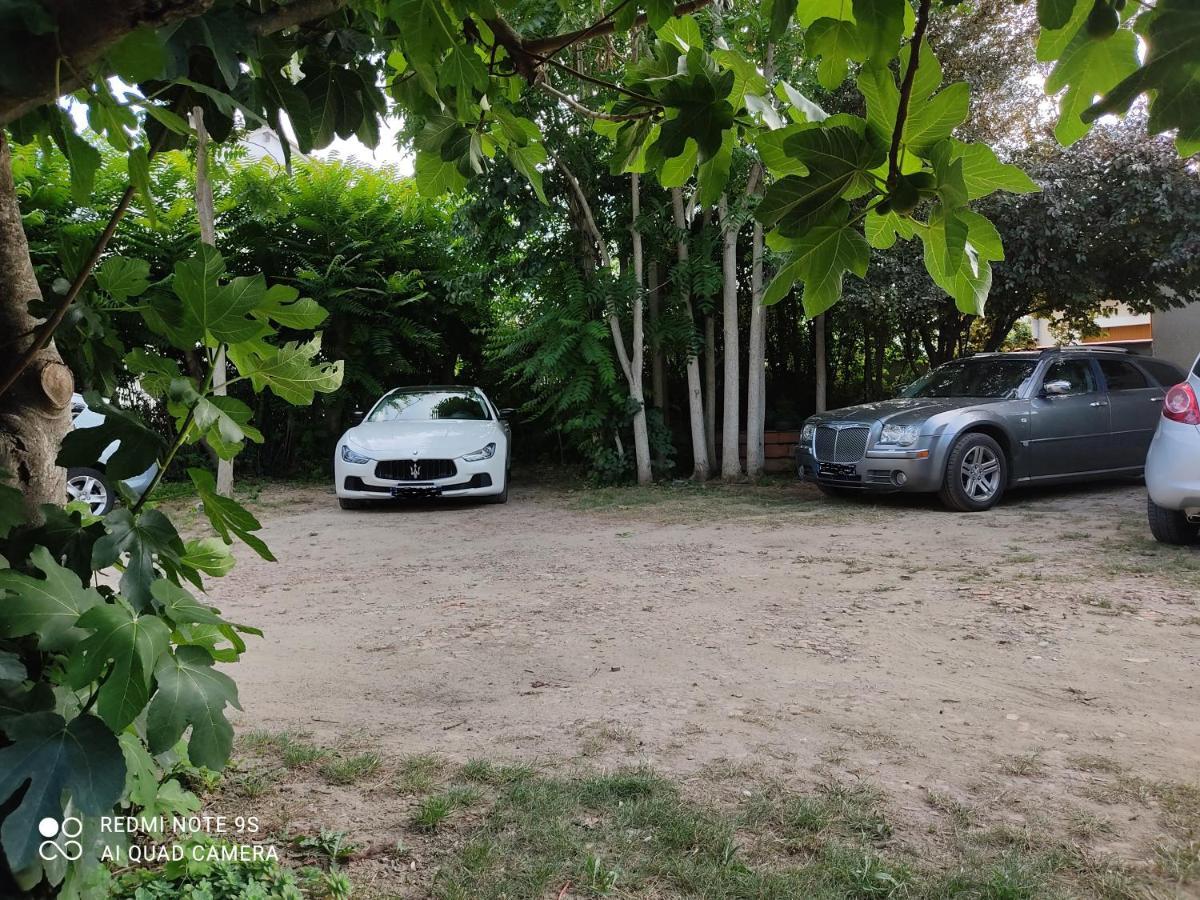 Apartment Albert Parking Prive Gratuit Limoux Esterno foto