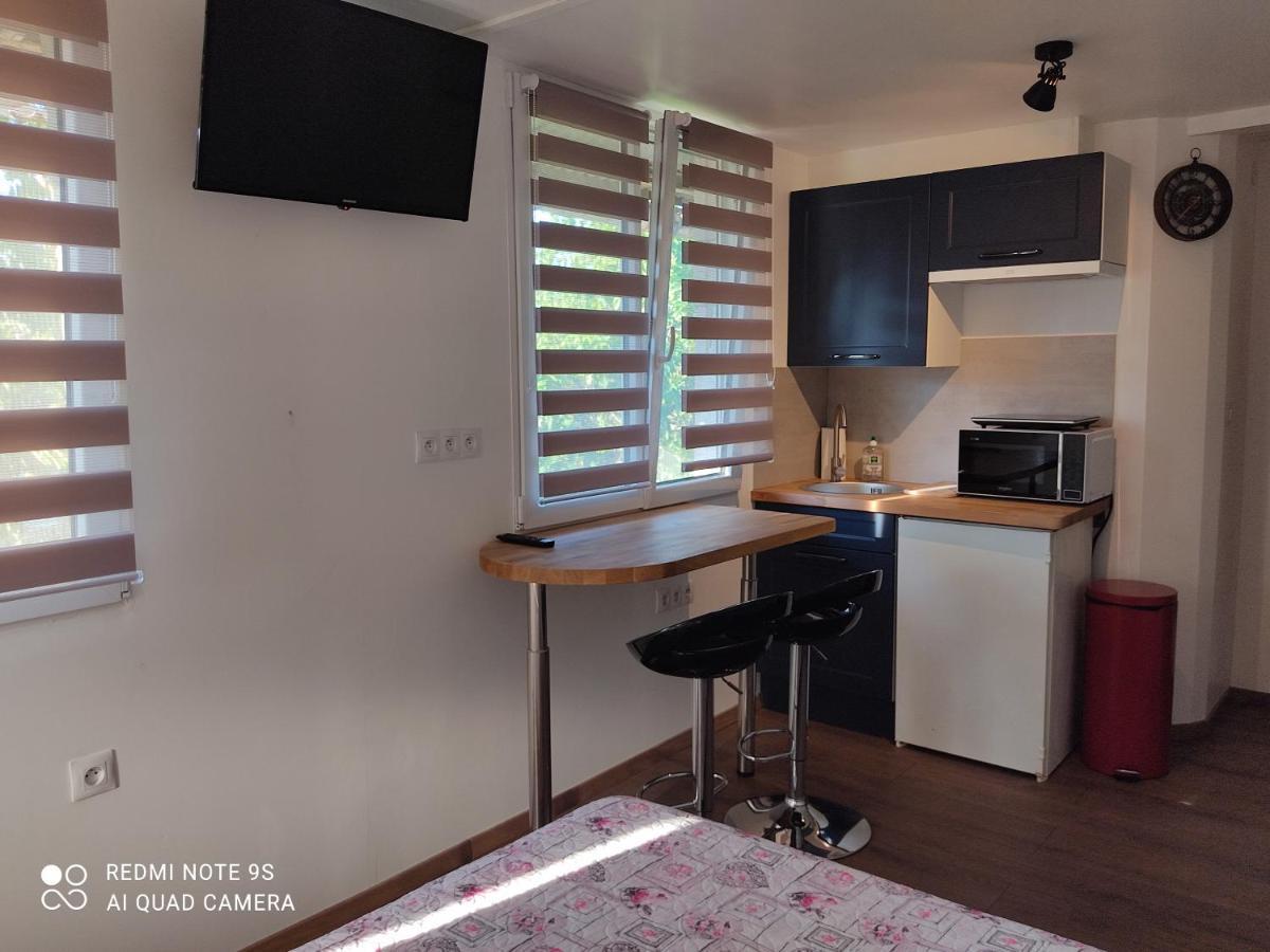 Apartment Albert Parking Prive Gratuit Limoux Esterno foto