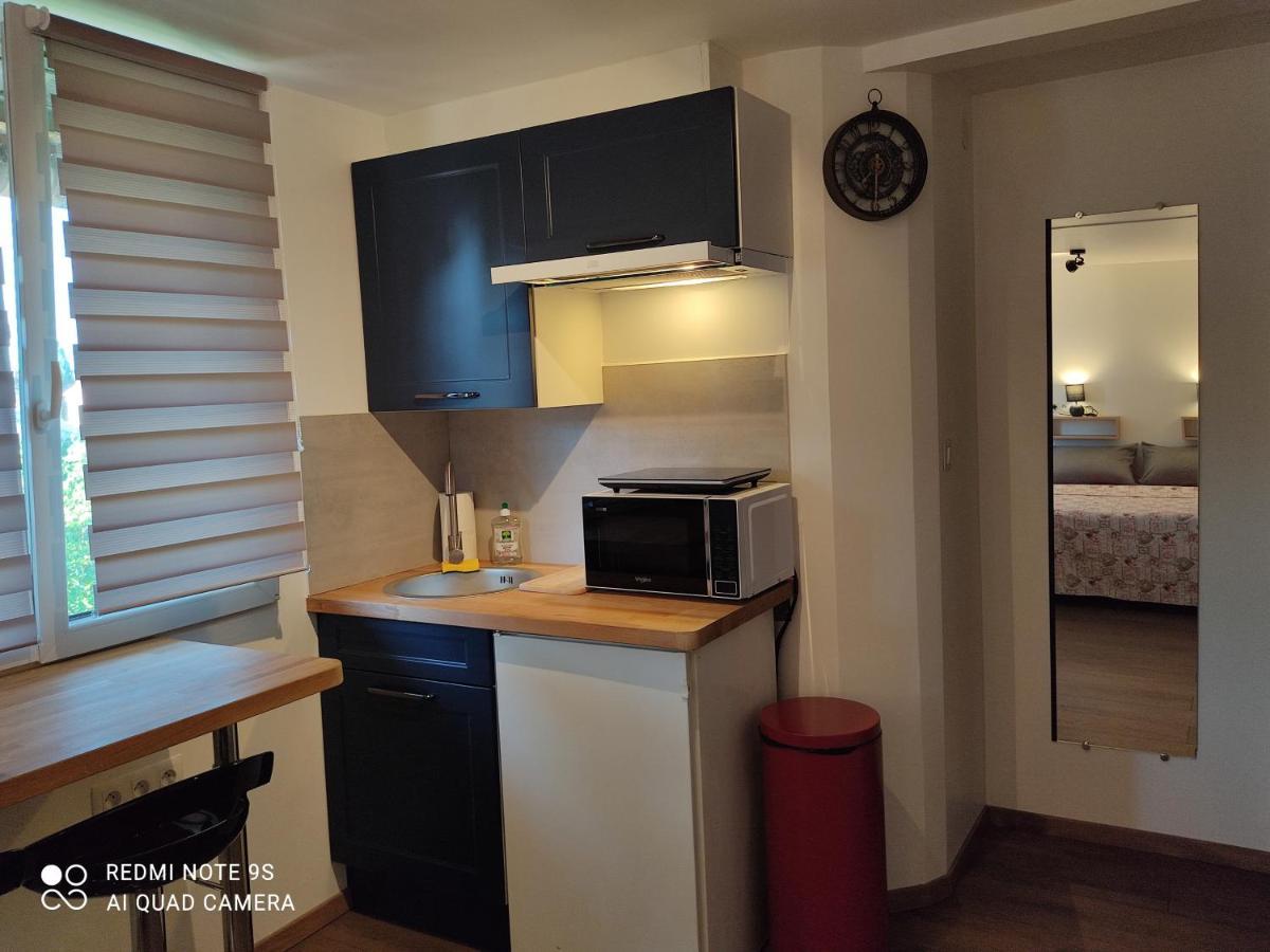 Apartment Albert Parking Prive Gratuit Limoux Esterno foto