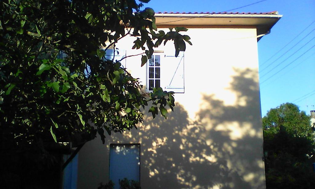 Apartment Albert Parking Prive Gratuit Limoux Esterno foto