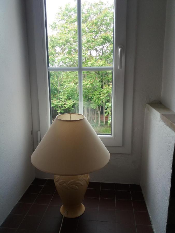 Apartment Albert Parking Prive Gratuit Limoux Esterno foto